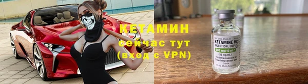 шишки Корсаков