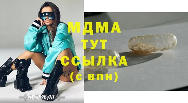 PSILOCYBIN Козловка