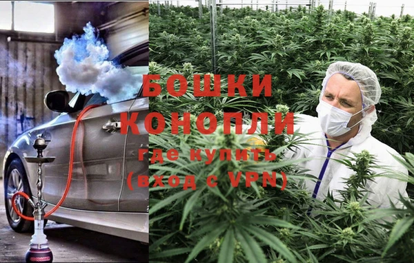 PSILOCYBIN Козловка