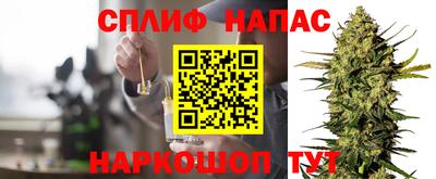 МДПВ Дубна