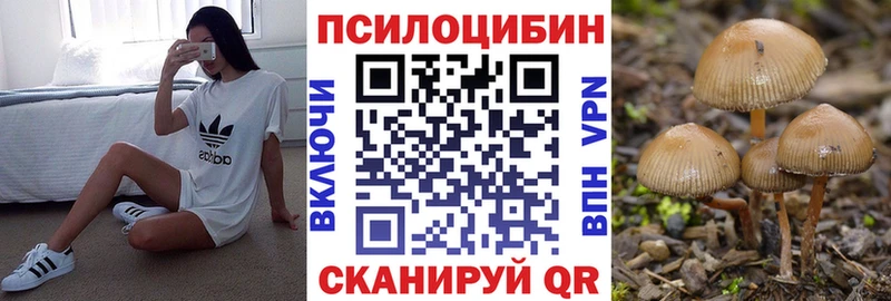 Галлюциногенные грибы мицелий Пушкино