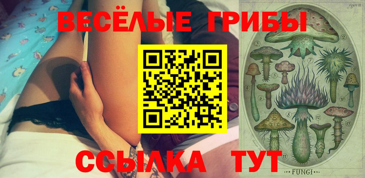 Псилоцибиновые грибы Psilocybine cubensis Пушкино